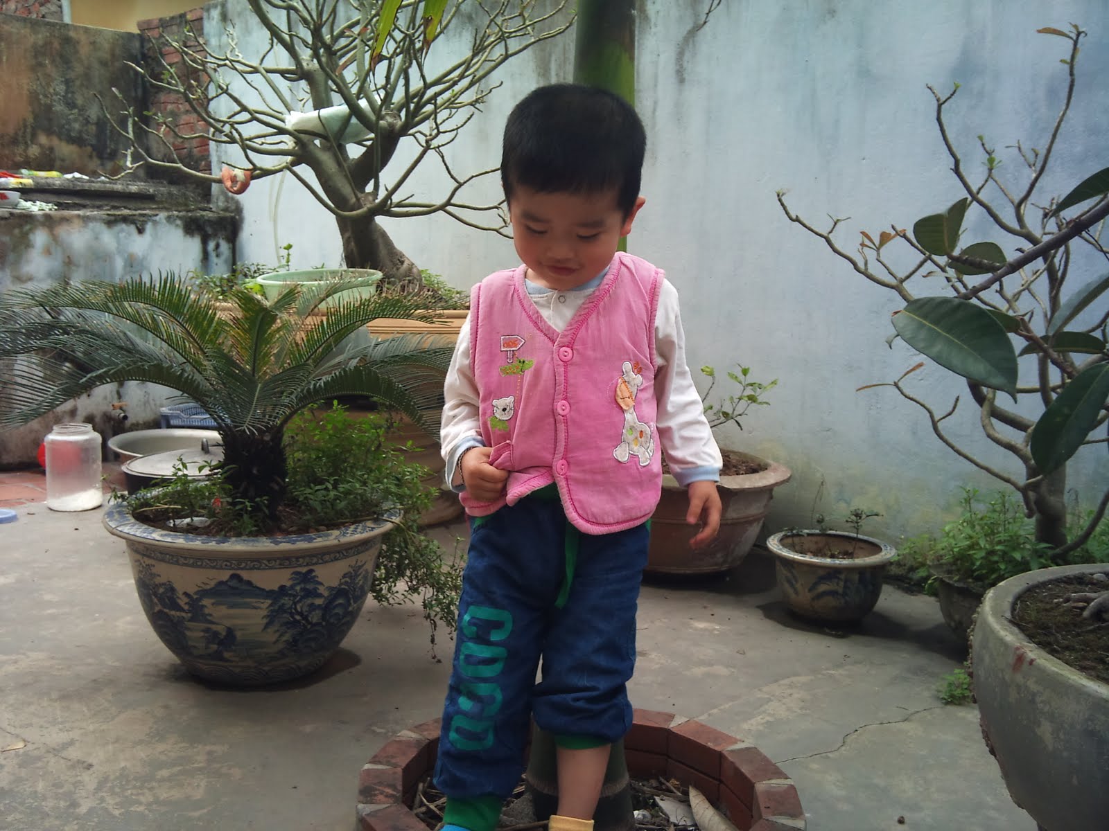 FlashTool 0280 2019 Ver.6.16 PreRelease