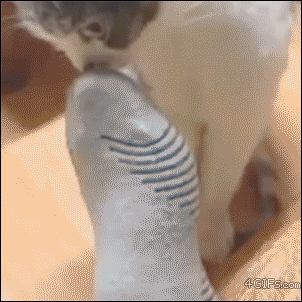 tumblr_n036wdfv821qdlh1io1_400.gif