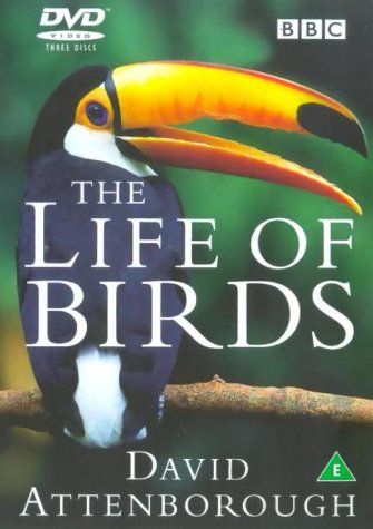 The Life of Birds - thien nhien hoang da