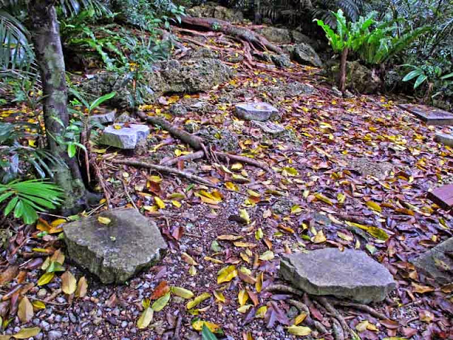 stone steps, trail, woods, fallen leaves