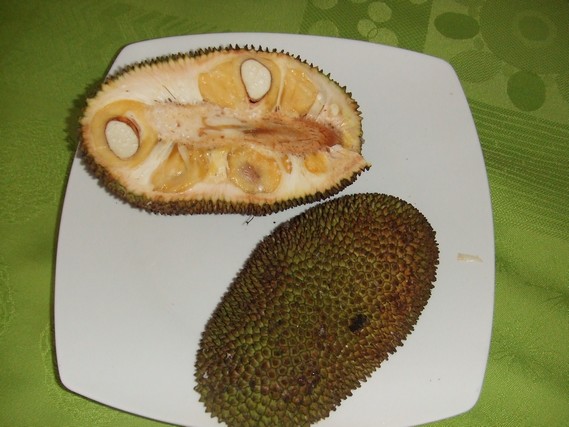 fruit jacques