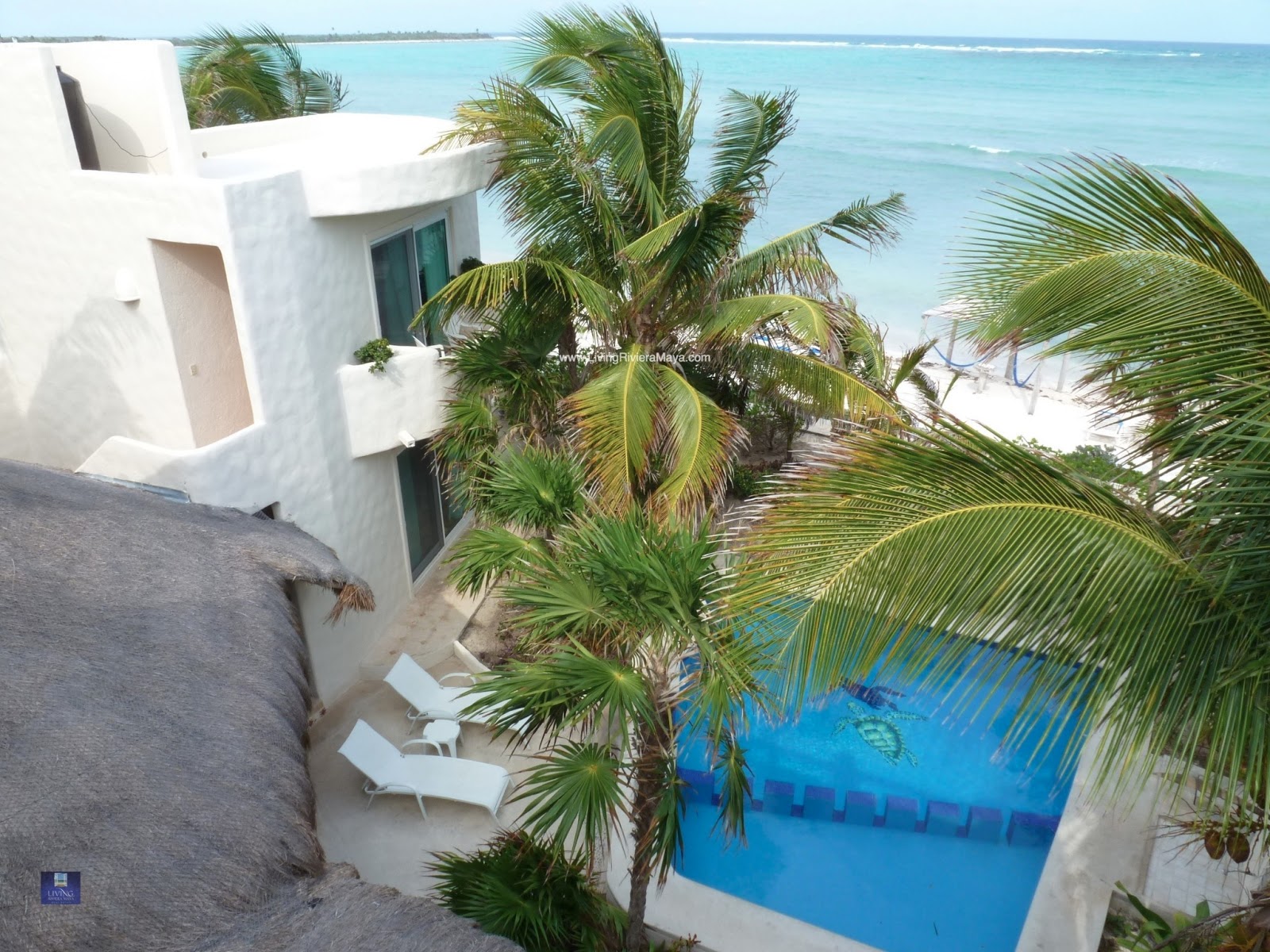 Riviera Maya Real Estate News Rental Property Live + Make Money in