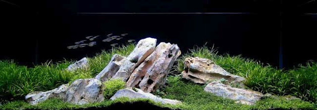 keindahan bawah air keindahan bawah air