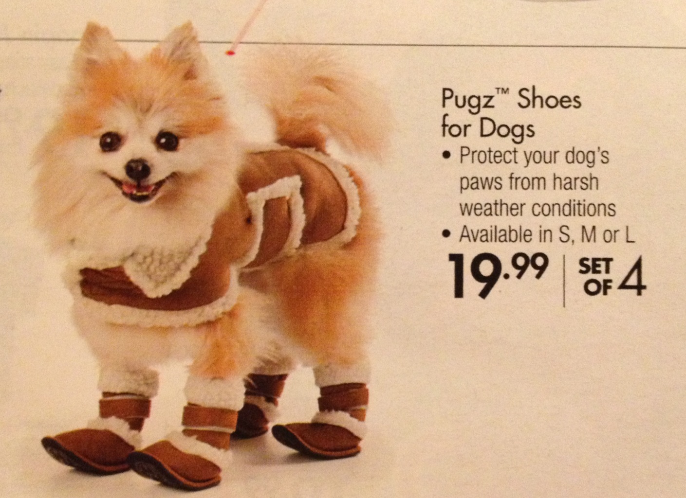 Pugz Uggs For Dogs