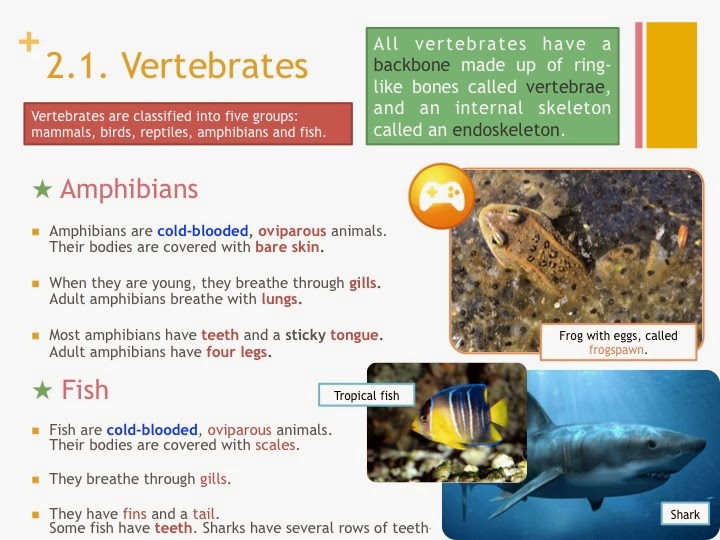 Tic Tac Science Year 5. Unit 2. Animals. Vertebrates Reptiles