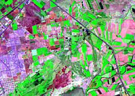 MAURICIO MANZONI Arquitecto: NATURALEZA Y COLOR: OBSERVACION Y RECREACION