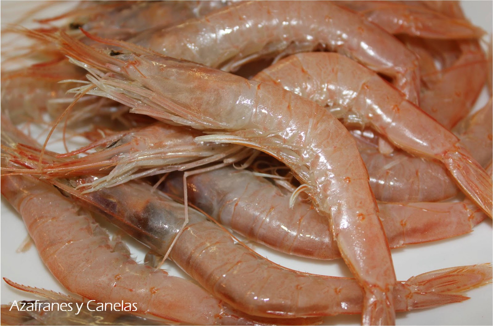 Gambas en tempura Azafranes y Canelas