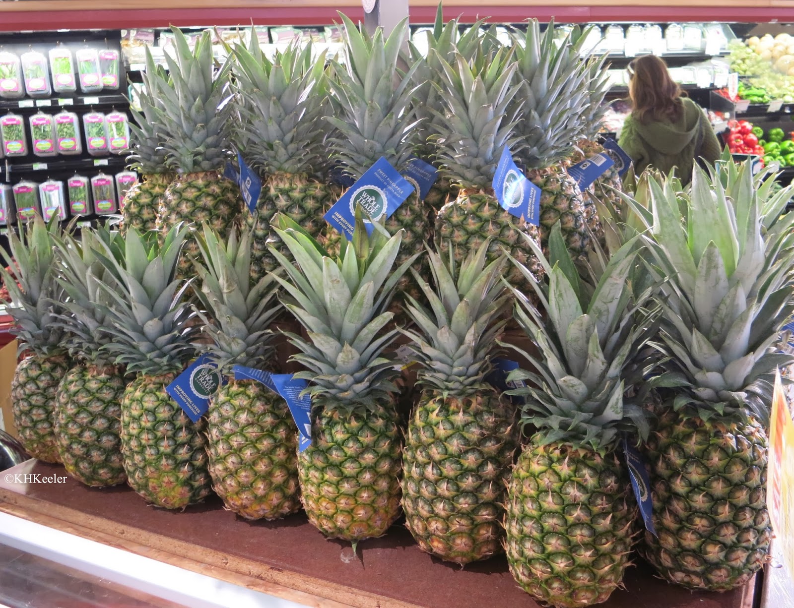 A Wandering Botanist Plant Story the Quest for Fresh, Ripe Pineapples