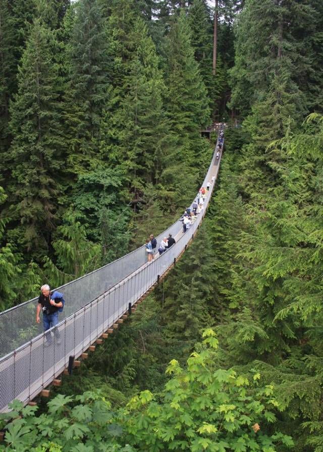 Get FuN Here Amazing Capilano Suspension Bridge....!!!!!