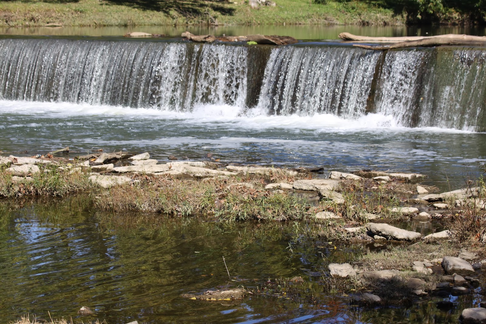 BlueEyed Kentucky Elkhorn Creek at Great Crossings Park