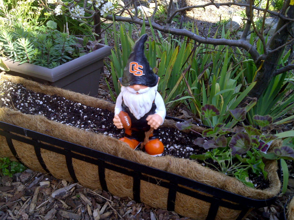 Playing hidethegnome