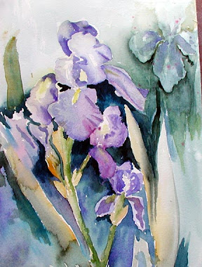 Purple  Iris