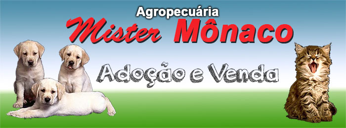 Mister Mônaco - Adoção e Venda de animais