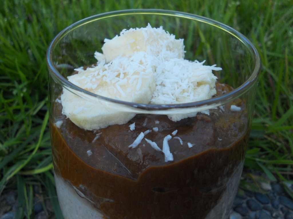 Snacking Squirrel Chocolate Banana Coconut Pudding