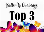 Top 3 at Butterfly Challenge