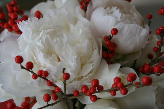 flores rojas de invierno para novias