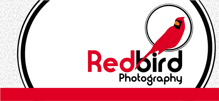 Redbird Photography