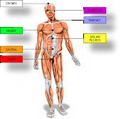 CHAKRAS