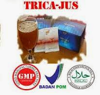 Obat Tricajus Herbal