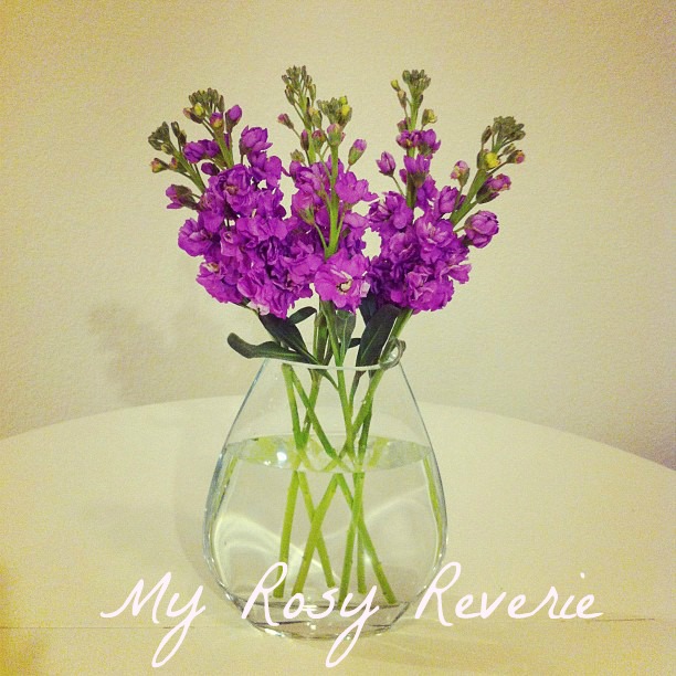 MyRosyReverie