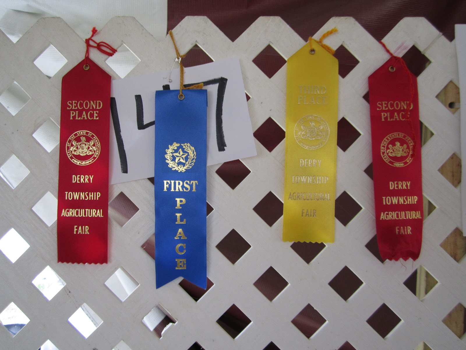 On The Pond Farm Derry Fair 2012 4H Goats