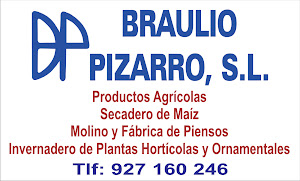 Braulio Pizarro
