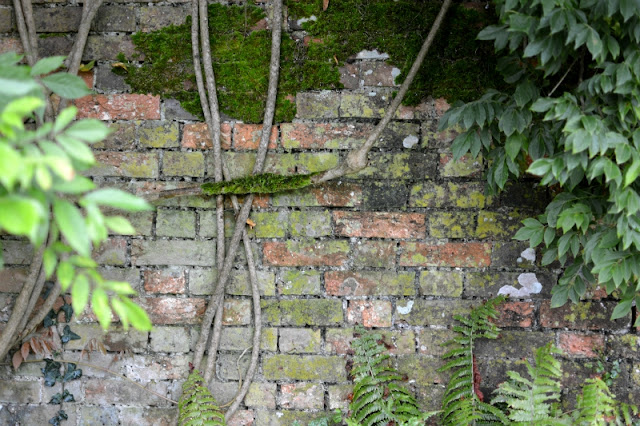 The Lost Gardens of Heligan in Cornwall