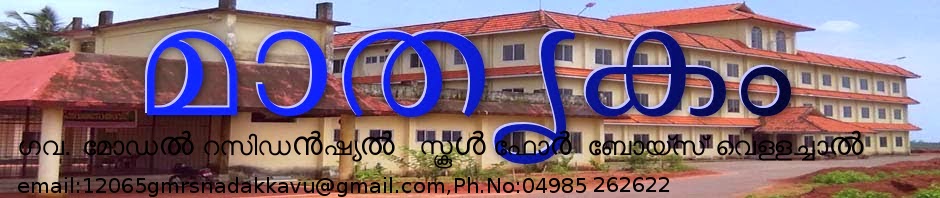 മാതൃകം 