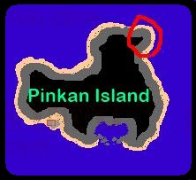 Tracey's : Pinkan Fruit Quest Pinkan+Island