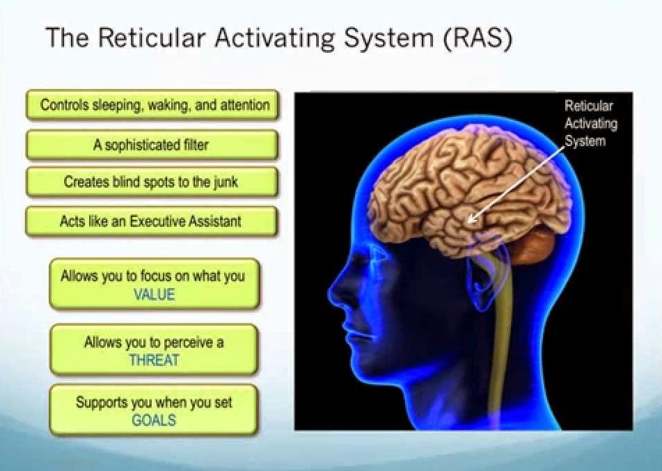 101 Proofs For God 83 RAS (Reticular Activating System)