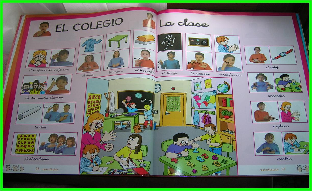 DICCIONARIO DE LENGUA DE SIGNOS ESPANOLA diccionario de lengua de signos espanola: