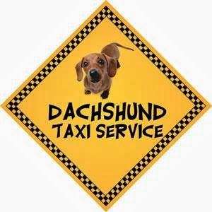 Dachshund Taxi Service