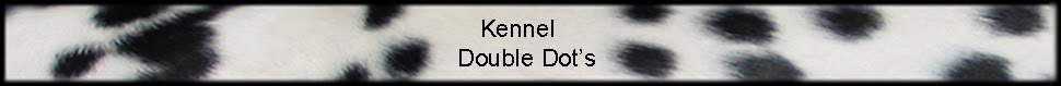 Kennel Double Dot's