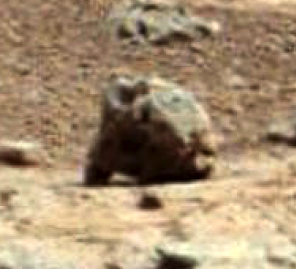 Groundhog On Mars!!!