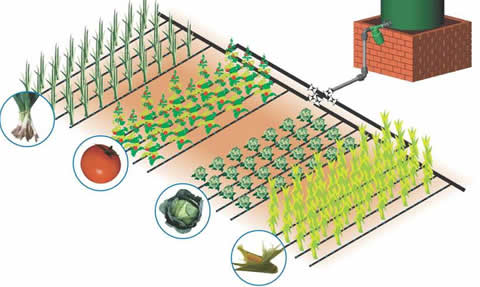 drip irrigation system garden vegetable systems electrical gardens guide pipes conduit manufacturers india water explore