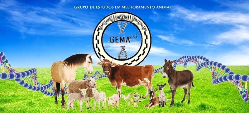 GEMA - IFMG campus Bambui