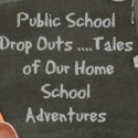 Public School Dropouts