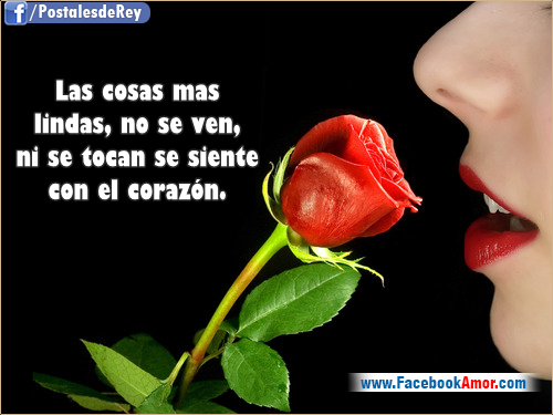 frases lindas de amor