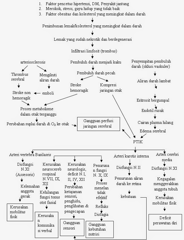 Asuhan Keperawatan Stroke Pdf