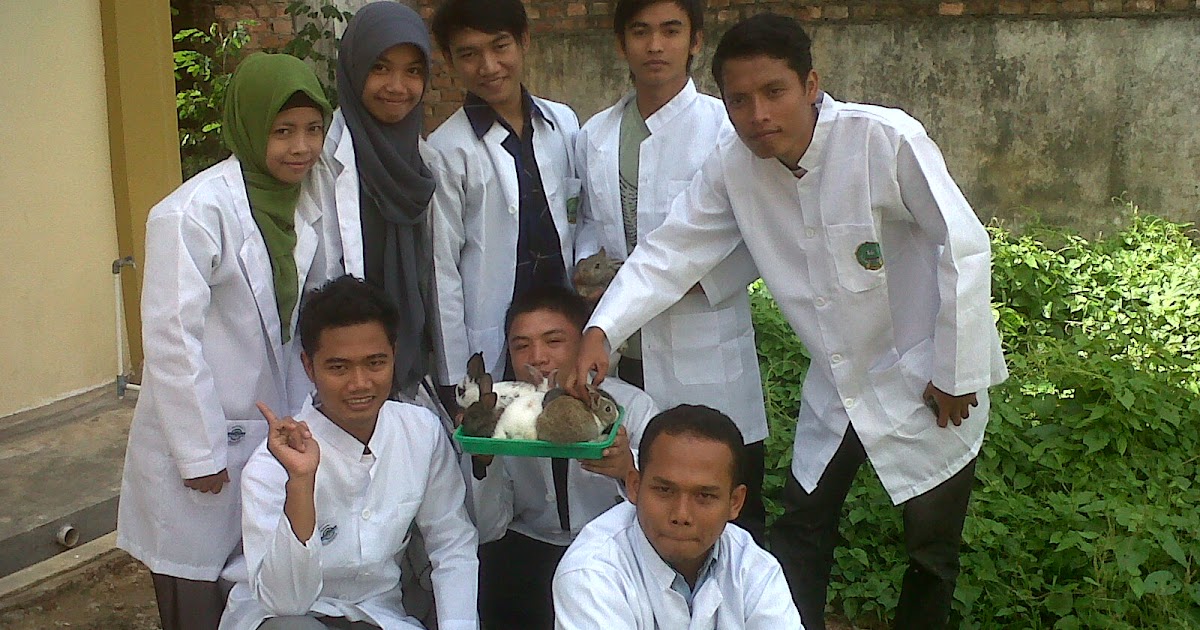 fisiologi sistem pencernaan