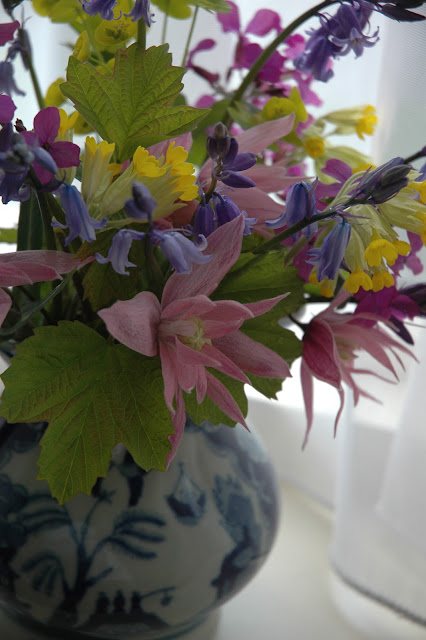 A mixed bunch of yellow cowslips, pink clematis, purple honesty and violet bluebells, along with the fresh green foliage of viburnum opulus.