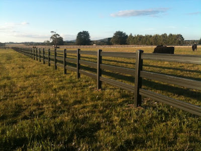 Timber Picket fencing