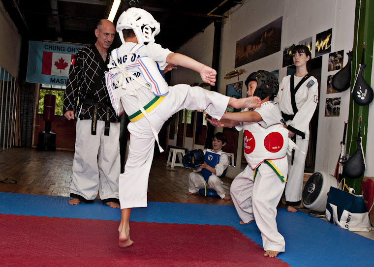 Flying Roundhouse Kick - Cambridge School