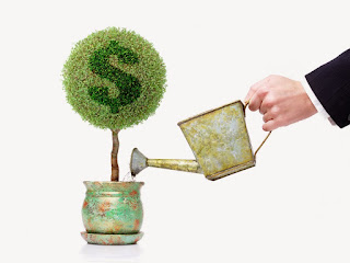 Picture of a potted plant with a dollar symbol on it being watered by a hand holding a watering can