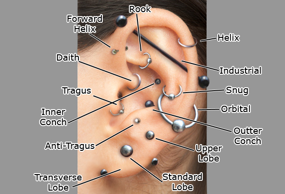 Tragus Piercing Diagram