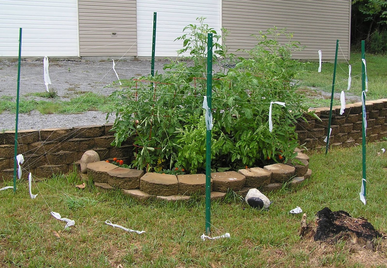 The Nebby Needle: July 2012