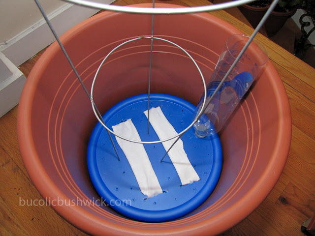 Convert a Standard Planter into a Self Watering Container