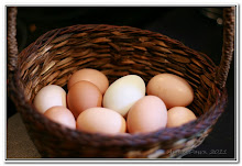 Farm fresh free-range eggs - $2/dozen