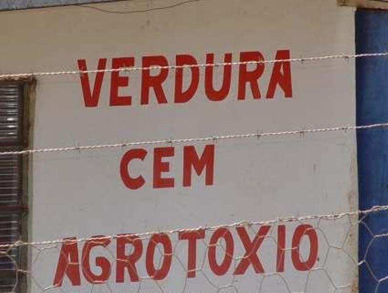 Resultado de imagem para placas com erros de portugues