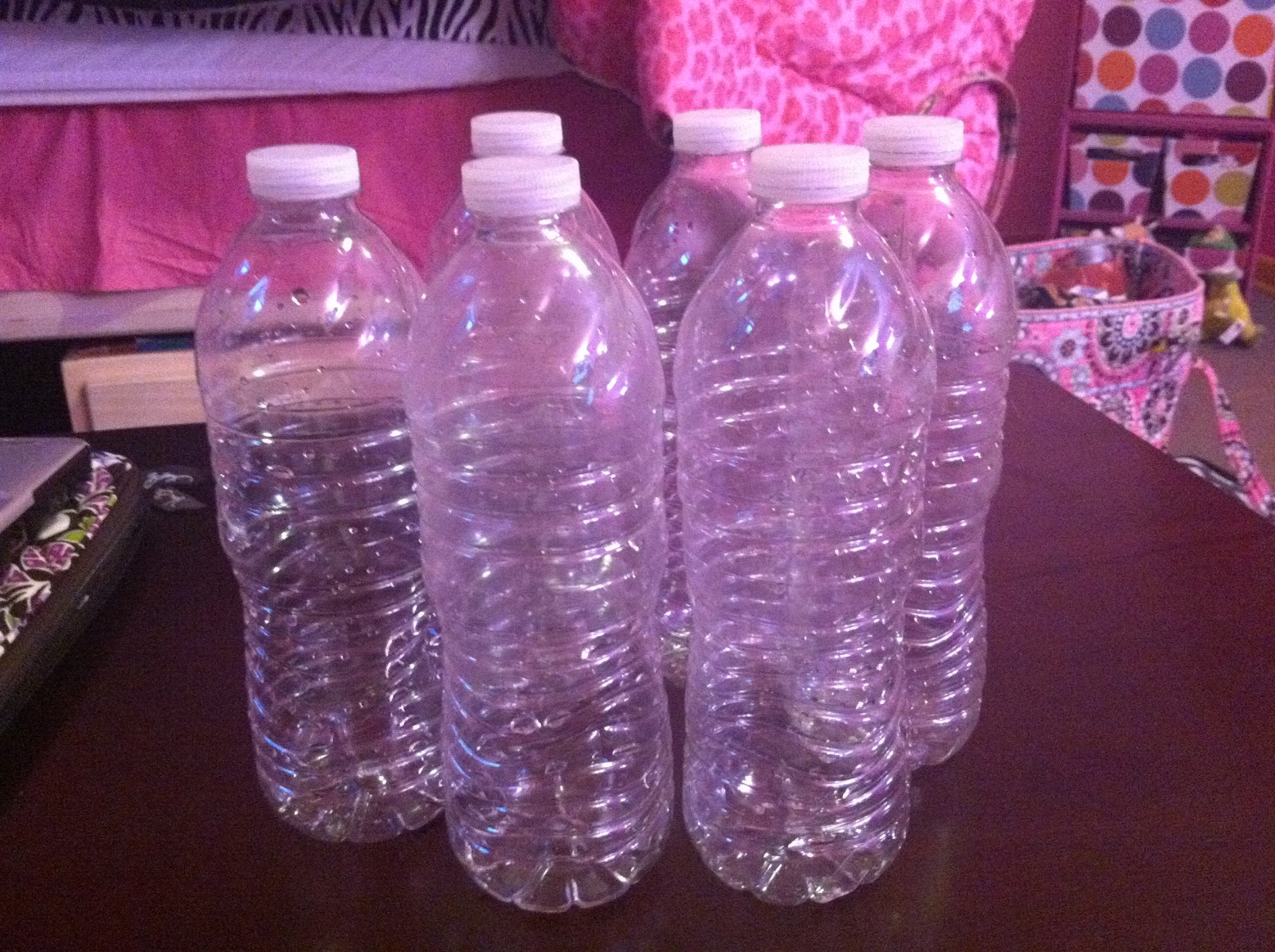 Chelsea's Blog Water Bottle Maracas!